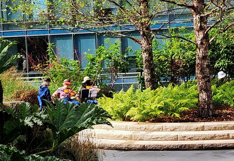 Musicians playing in the Wetlands Garden.