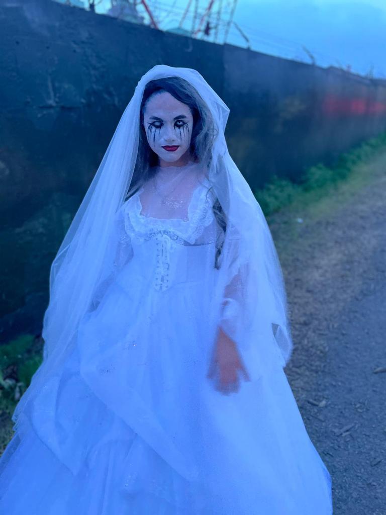 Day of the dead image.