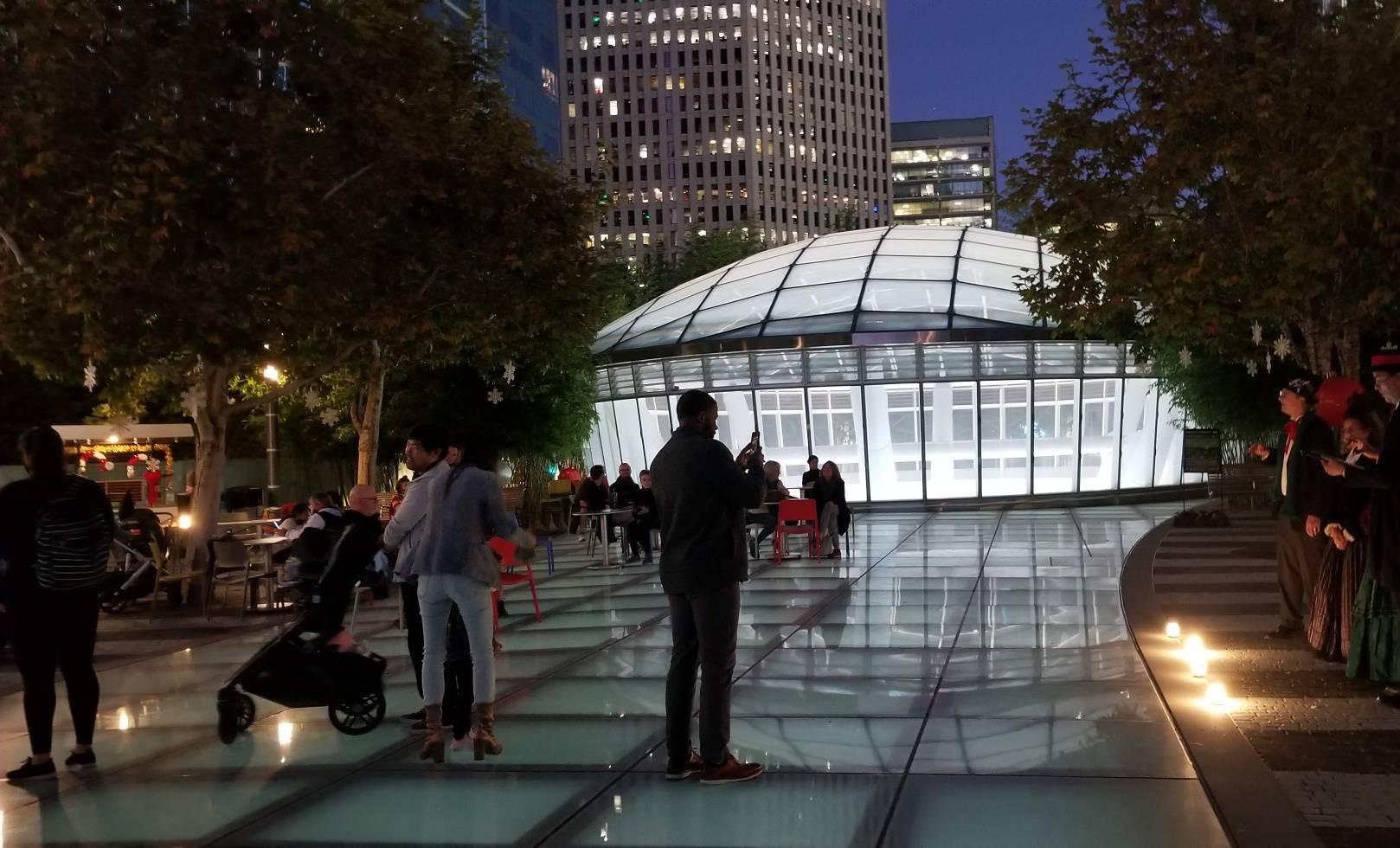 oculus surrounded by a bamboo grove.