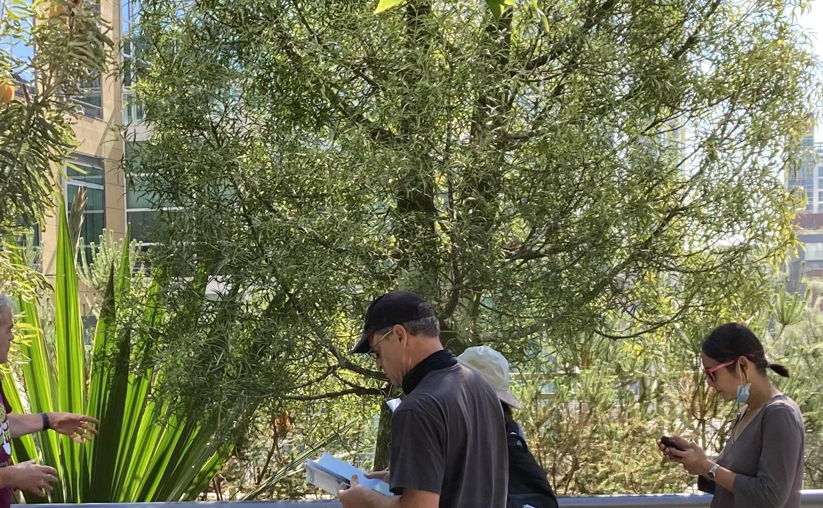 Tree Tour