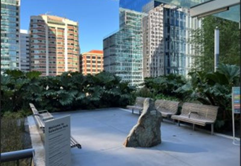 A small plaza with benches, surrounded by greenery and buildings in the background.