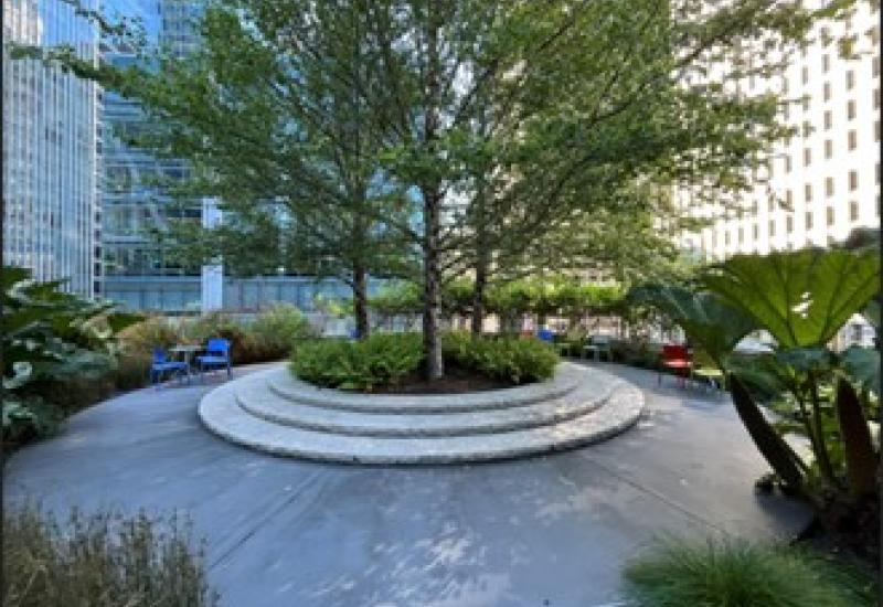 : A circular plaza with a raised planting bed holding trees at its center.
