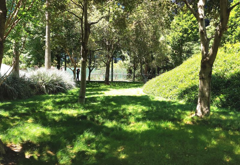 Looking across the Park.