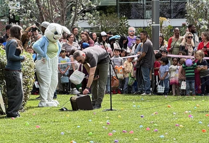 Funny Bunny at Spring Fling 2025.