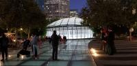 oculus surrounded by a bamboo grove.