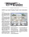 2010-0128_Examiner